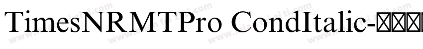TimesNRMTPro CondItalic字体转换